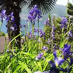 Casa Petra 1 1/2 Zi, Orgnana 83 Gambarogno