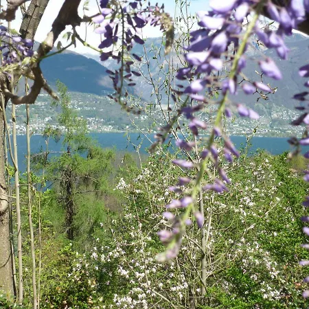 Casa Petra 1 1/2 Zi, Orgnana 83 Gambarogno