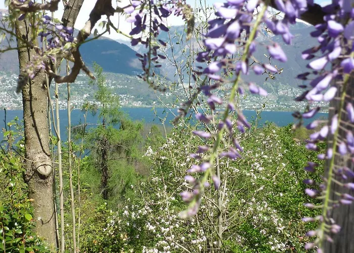 Casa Petra 1 1/2 Zi, Orgnana 83 Gambarogno