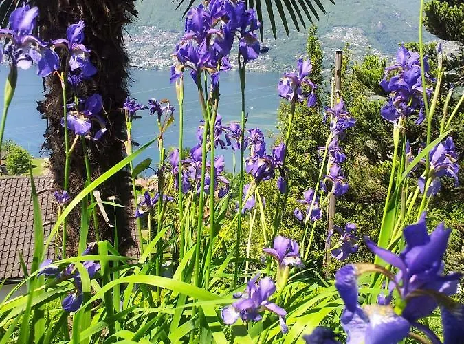 Casa Petra 1 1/2 Zi, Orgnana 83 Gambarogno