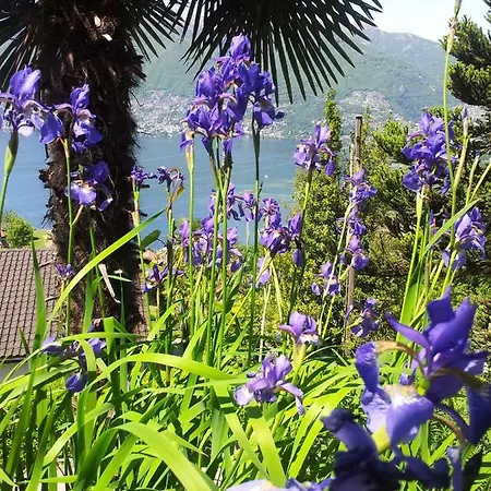 Casa Petra 1 1/2 Zi, Orgnana 83 Gambarogno