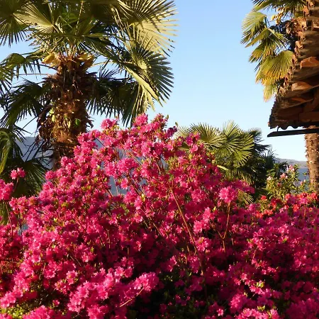 Casa Petra 1 1/2 Zi, Orgnana 83 *