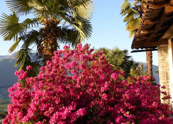 Casa Petra 1 1/2 Zi, Orgnana 83 *